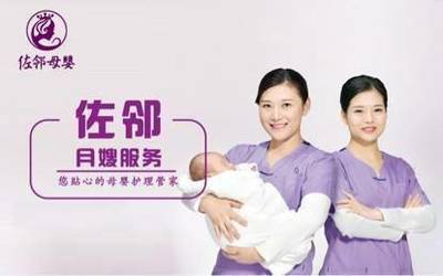 佐邻·月嫂见面会 每周六相约，共筑专业母婴护理新生活